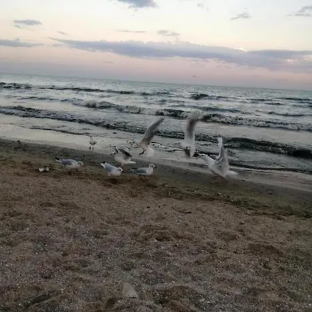 лузановка-жемчужина у моря-приезжайте *